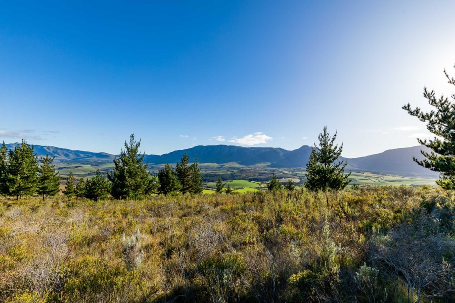 0 Bedroom Property for Sale in Heidelberg Rural Western Cape